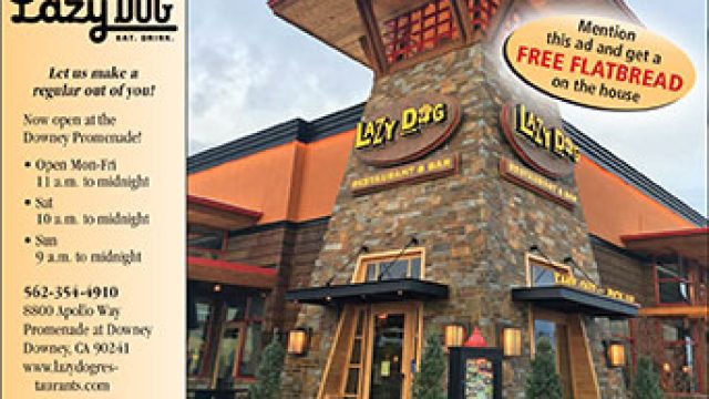 Lazy Dog Restaurant & Bar