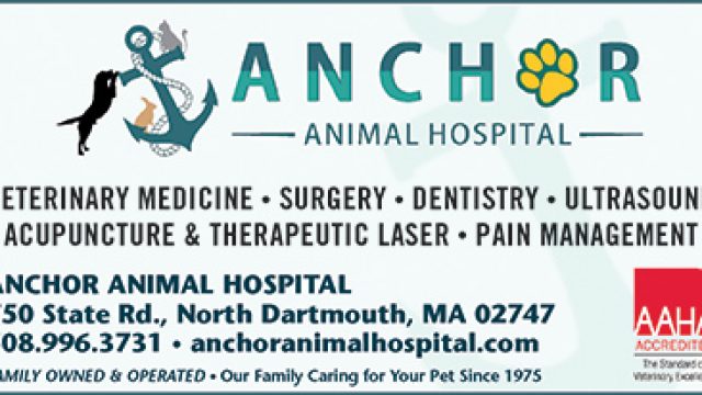 Anchor Animal Hospital