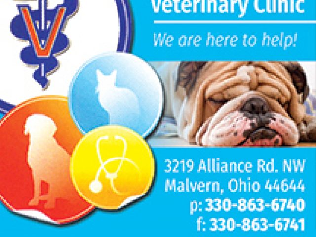 Minerva Veterinary Clinic
